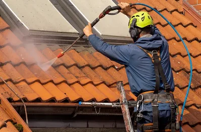 Démoussage et hydrofuge de toiture à Alos